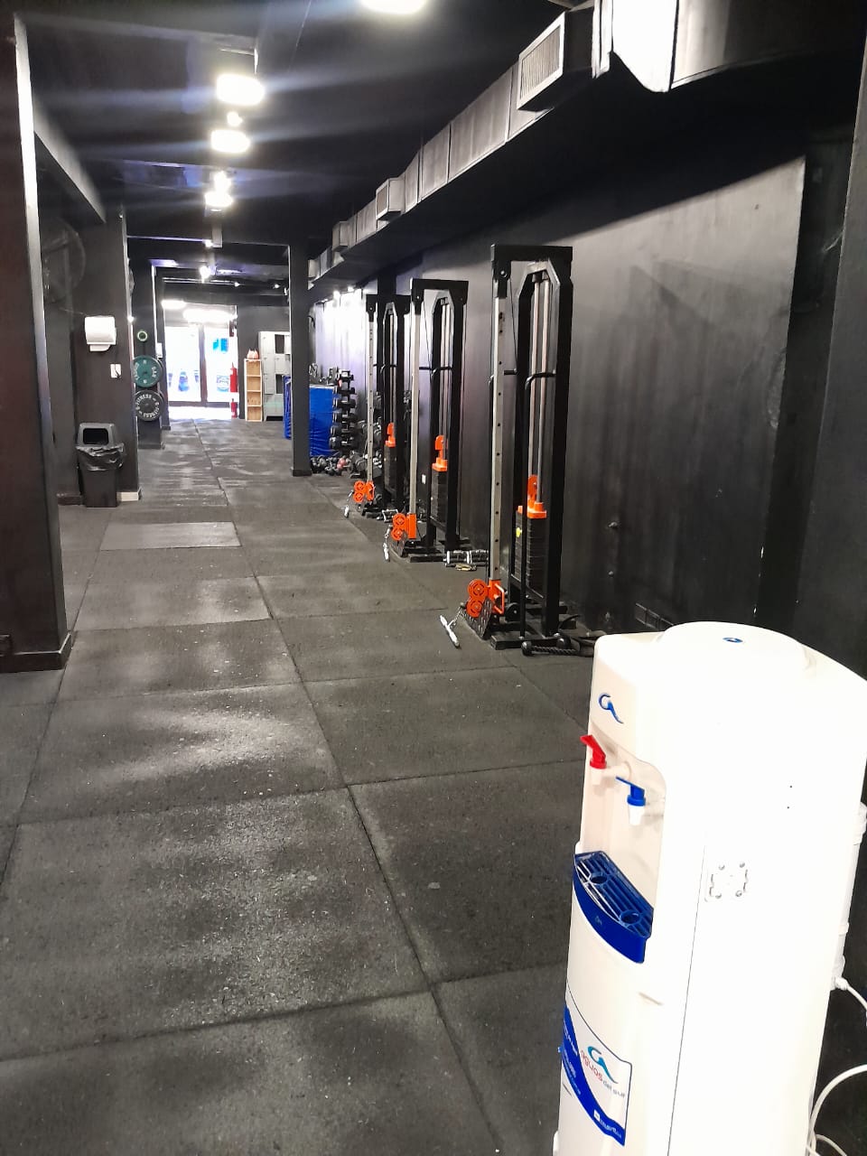 Vista general de GAN Functional Training